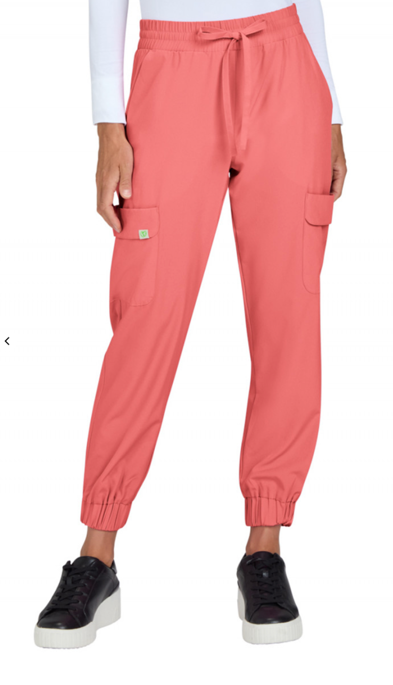 Terra Jogger